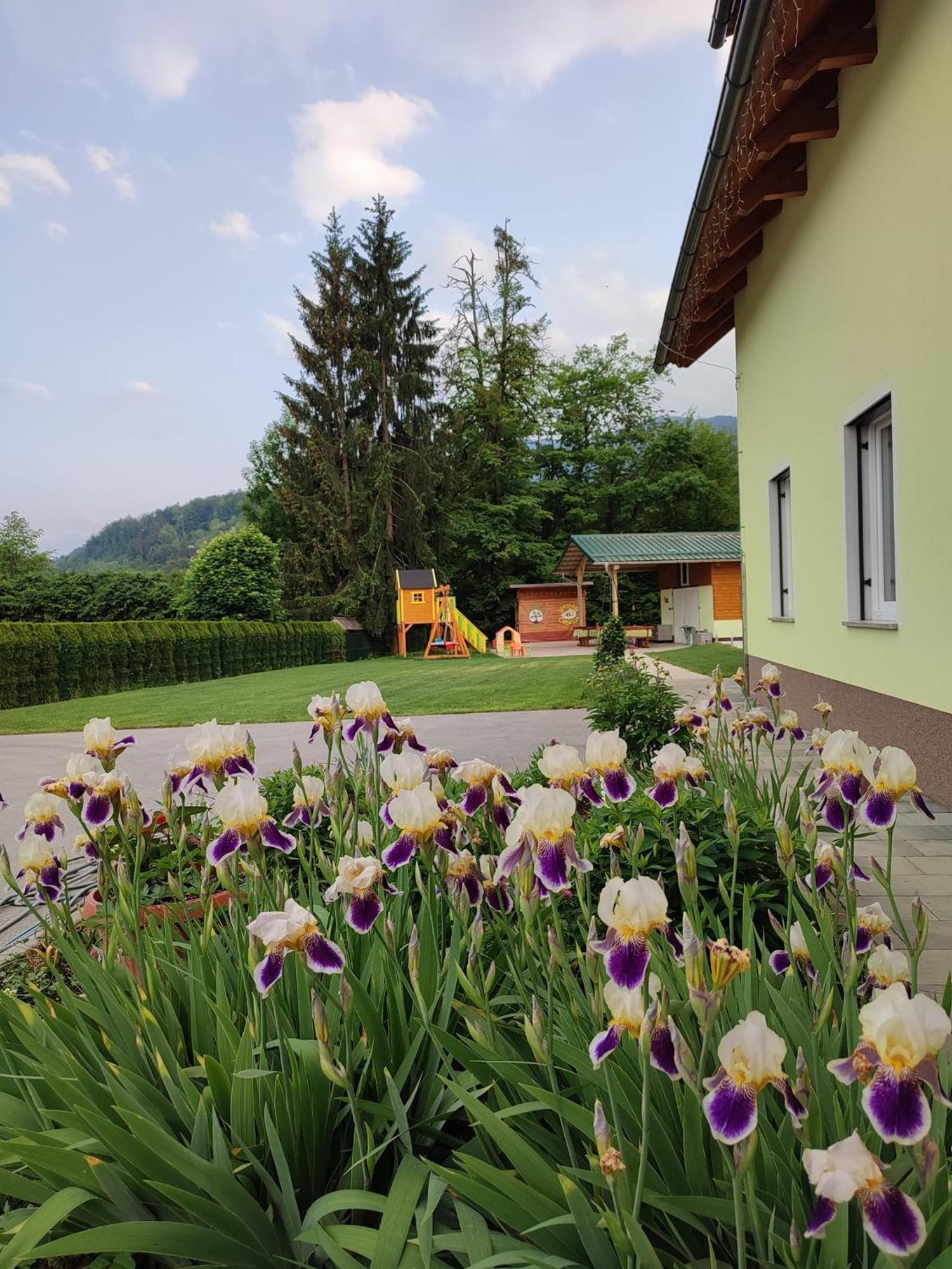 Apartments And Wellness Jelovca Radovljica Bagian luar foto